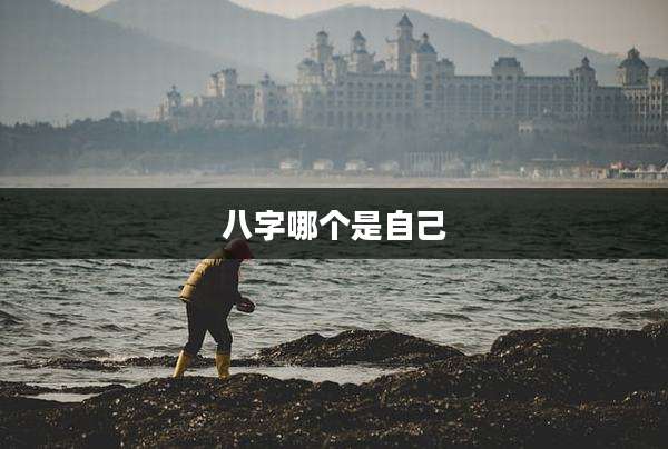 八字哪个是自己