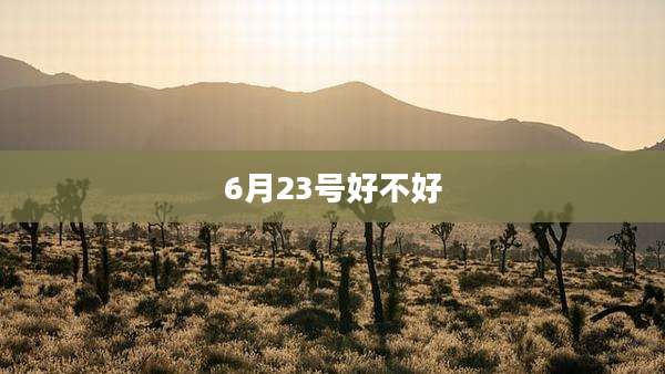 6月23号好不好