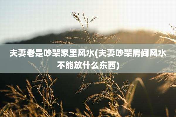 夫妻老是吵架家里风水(夫妻吵架房间风水不能放什么东西)