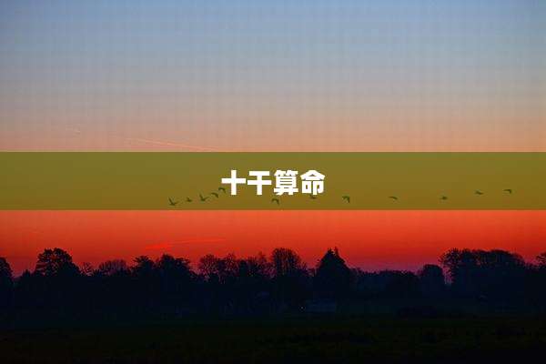 十干算命
