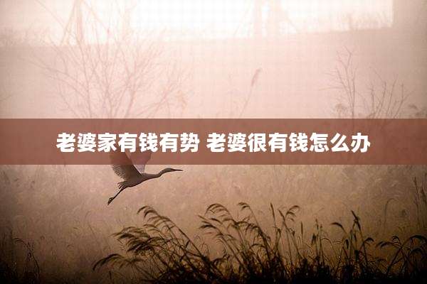 老婆家有钱有势 老婆很有钱怎么办