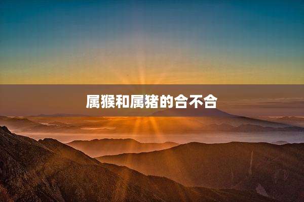 属猴和属猪的合不合