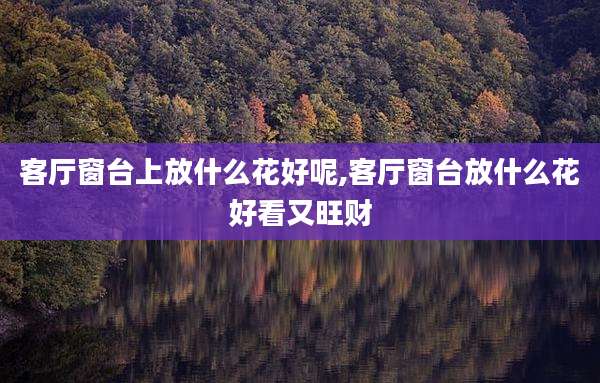 客厅窗台上放什么花好呢,客厅窗台放什么花好看又旺财