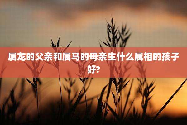 属龙的父亲和属马的母亲生什么属相的孩子好?