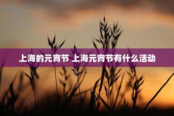 上海的元宵节 上海元宵节有什么活动