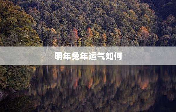 明年兔年运气如何