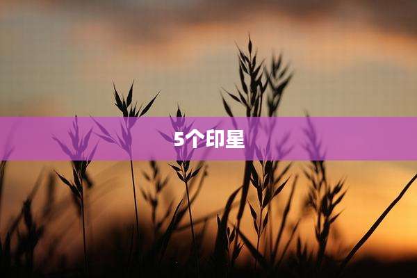 5个印星
