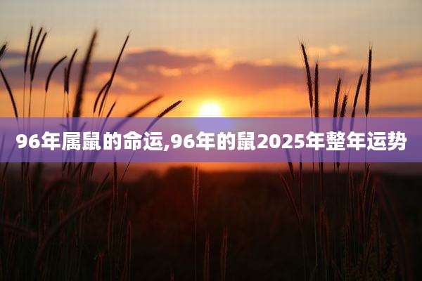 96年属鼠的命运,96年的鼠2025年整年运势