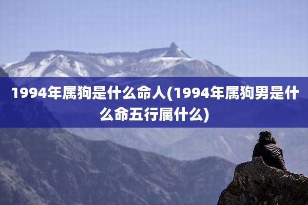1994年属狗是什么命人(1994年属狗男是什么命五行属什么)