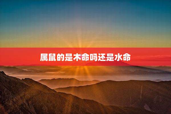 属鼠的是木命吗还是水命