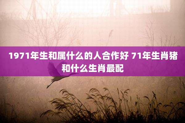 1971年生和属什么的人合作好 71年生肖猪和什么生肖最配