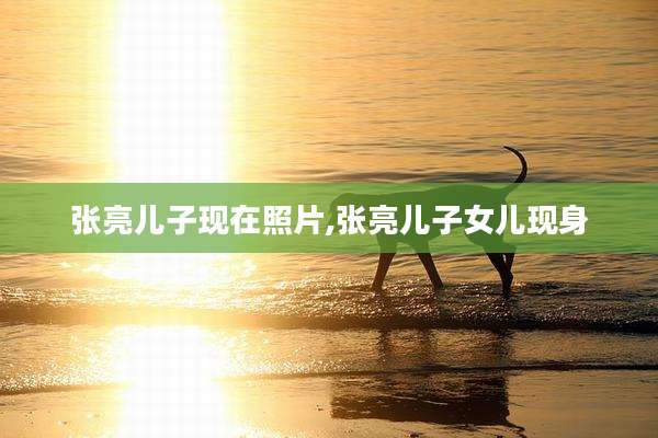 张亮儿子现在照片,张亮儿子女儿现身