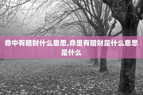 命中有暗财什么意思,命里有暗财是什么意思是什么