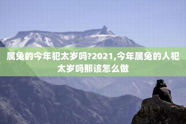 属兔的今年犯太岁吗?2021,今年属兔的人犯太岁吗那该怎么做