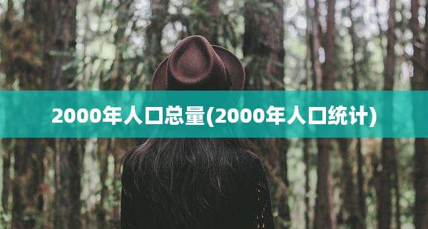 2000年人口总量(2000年人口统计)