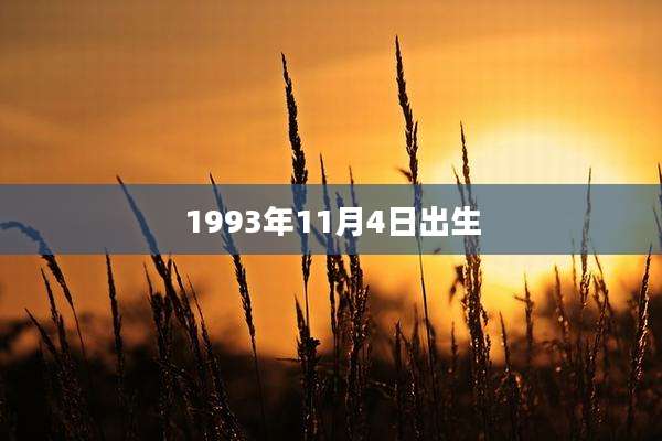 1993年11月4日出生