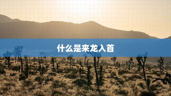 什么是来龙入首