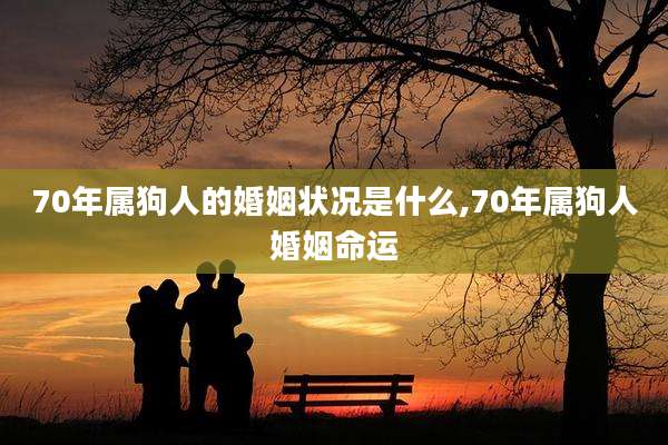 70年属狗人的婚姻状况是什么,70年属狗人婚姻命运