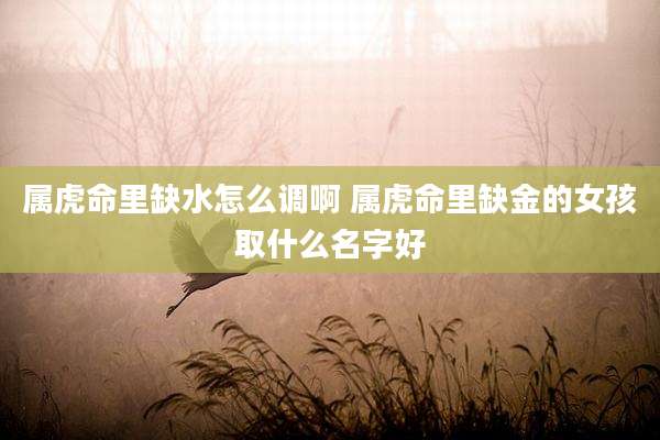 属虎命里缺水怎么调啊 属虎命里缺金的女孩取什么名字好