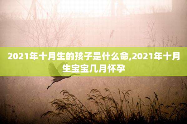 2021年十月生的孩子是什么命,2021年十月生宝宝几月怀孕
