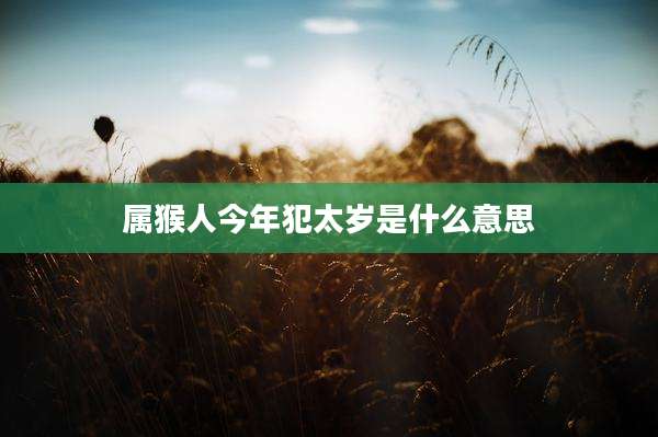 属猴人今年犯太岁是什么意思