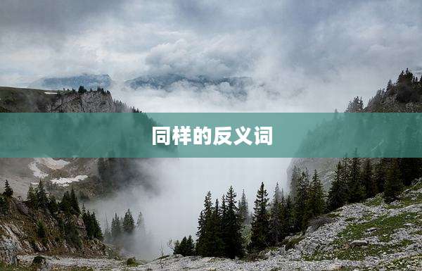 同样的反义词