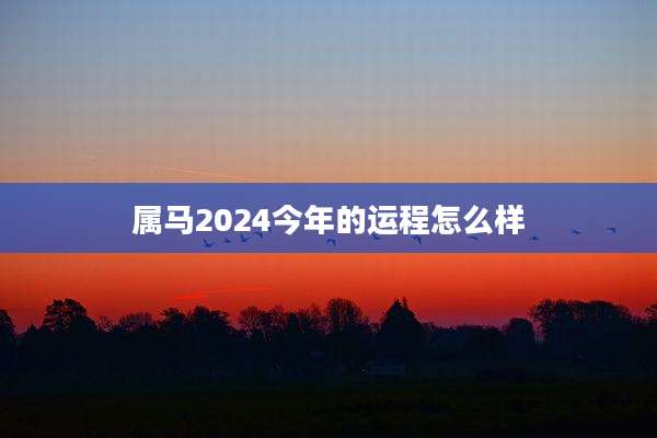 属马2024今年的运程怎么样