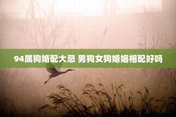 94属狗婚配大忌 男狗女狗婚姻相配好吗