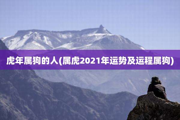 虎年属狗的人(属虎2021年运势及运程属狗)