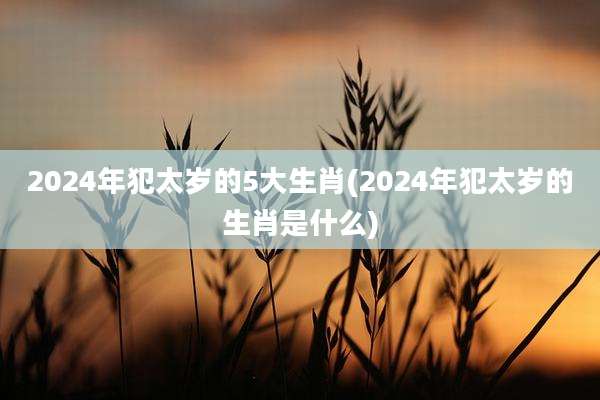 2024年犯太岁的5大生肖(2024年犯太岁的生肖是什么)