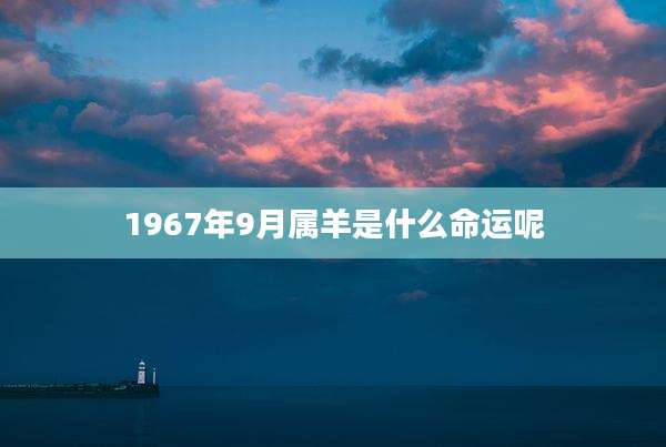 1967年9月属羊是什么命运呢