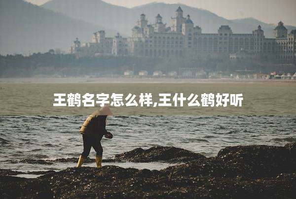 王鹤名字怎么样,王什么鹤好听