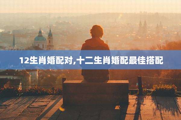 12生肖婚配对,十二生肖婚配最佳搭配