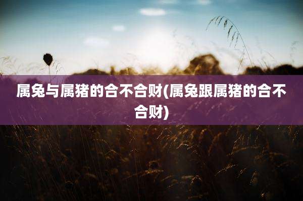 属兔与属猪的合不合财(属兔跟属猪的合不合财)