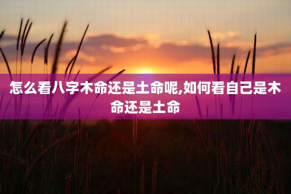 怎么看八字木命还是土命呢,如何看自己是木命还是土命