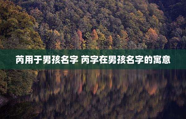 芮用于男孩名字 芮字在男孩名字的寓意
