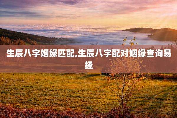 生辰八字姻缘匹配,生辰八字配对姻缘查询易经