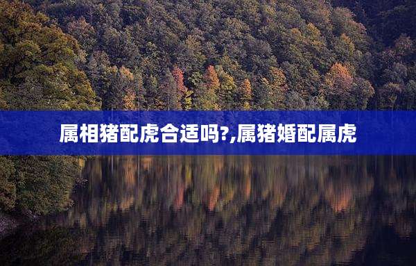 属相猪配虎合适吗?,属猪婚配属虎