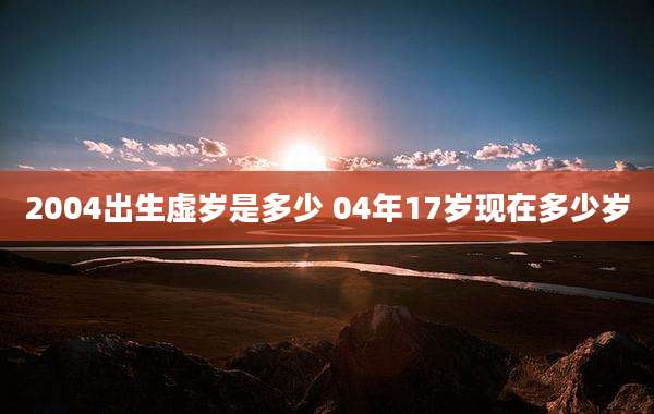 2004出生虚岁是多少 04年17岁现在多少岁
