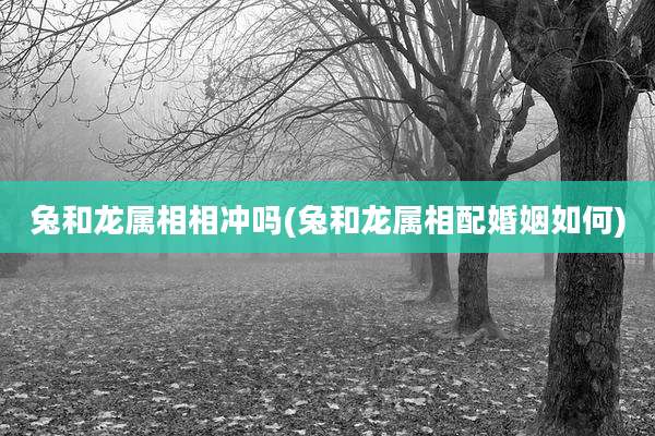 兔和龙属相相冲吗(兔和龙属相配婚姻如何)