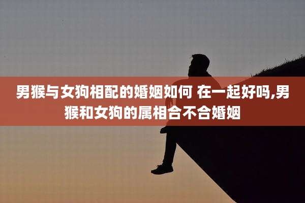 男猴与女狗相配的婚姻如何 在一起好吗,男猴和女狗的属相合不合婚姻