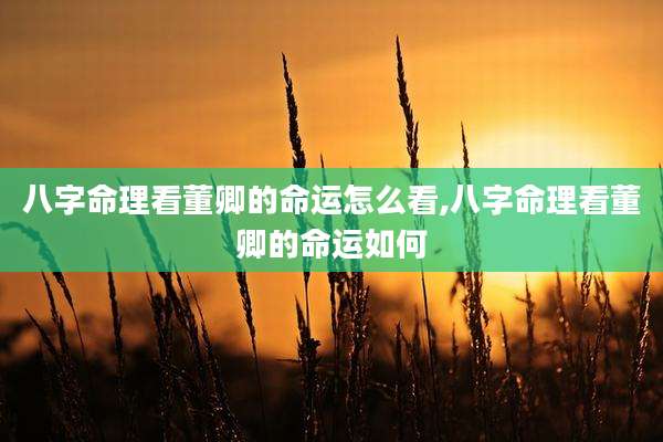 八字命理看董卿的命运怎么看,八字命理看董卿的命运如何
