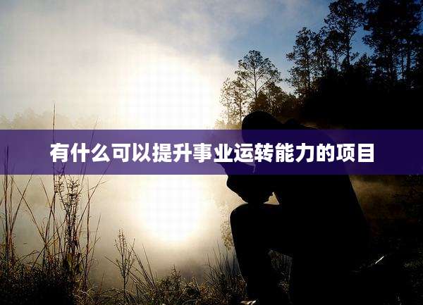 有什么可以提升事业运转能力的项目