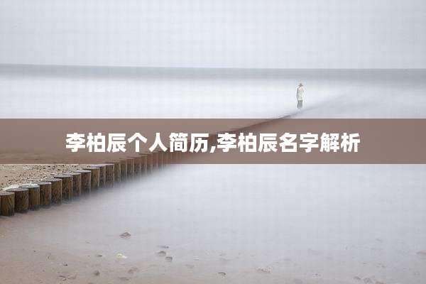 李柏辰个人简历,李柏辰名字解析