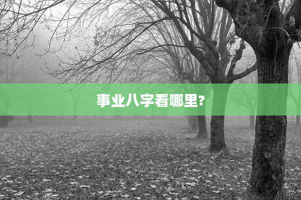 事业八字看哪里?