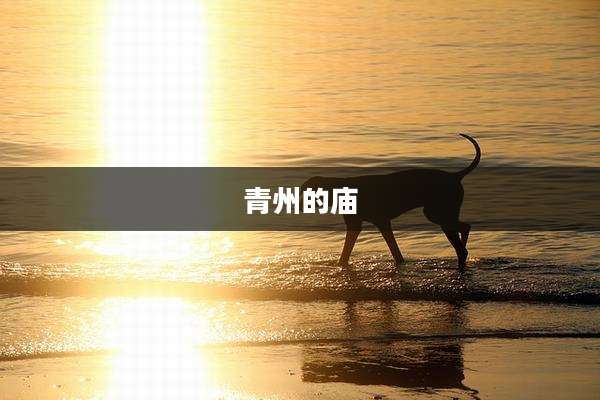 青州的庙