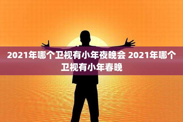 2021年哪个卫视有小年夜晚会 2021年哪个卫视有小年春晚