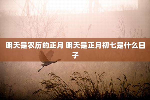 明天是农历的正月 明天是正月初七是什么日子