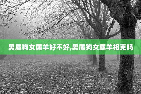 男属狗女属羊好不好,男属狗女属羊相克吗