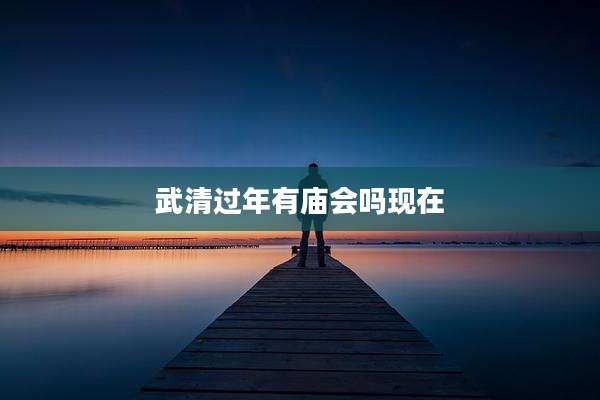 武清过年有庙会吗现在